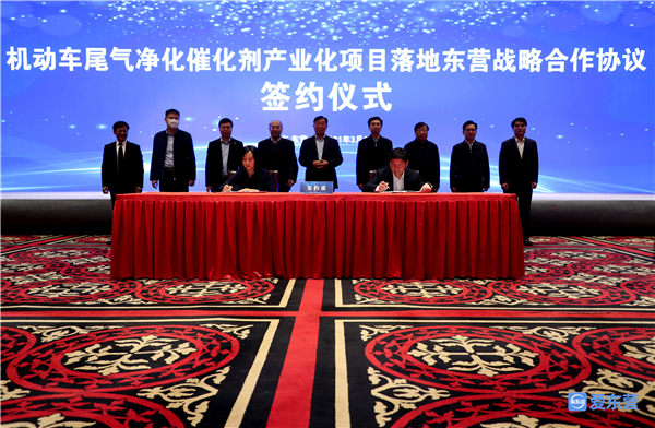 茄子精产国产品入口