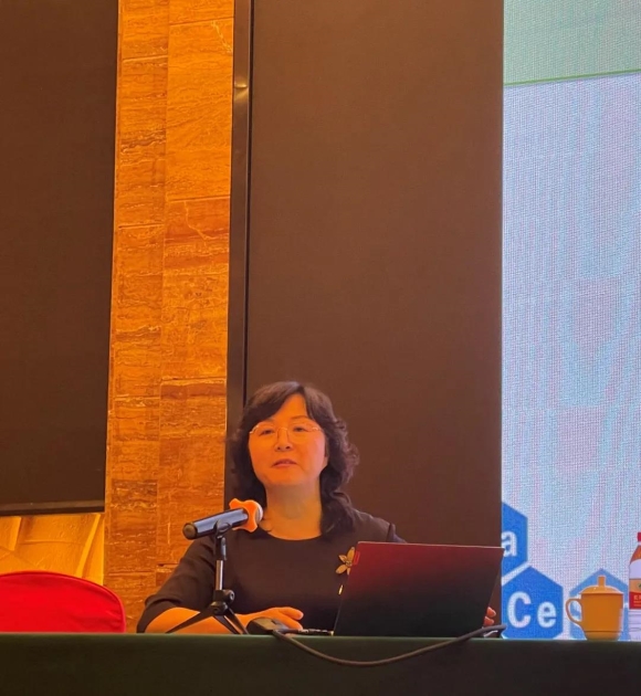 茄子精产国产品入口