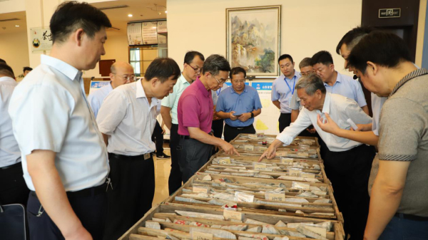 茄子精产国产品入口