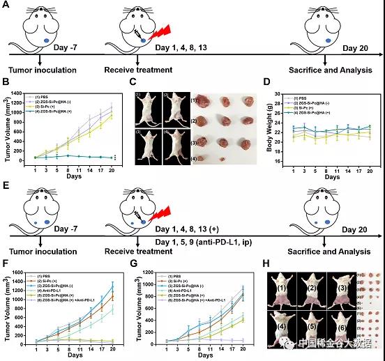 茄子精产国产品入口