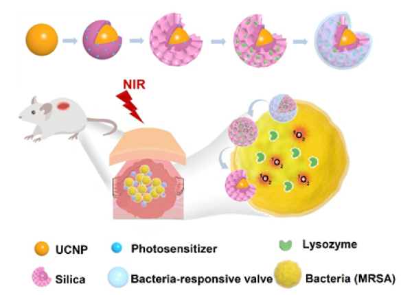 茄子精产国产品入口