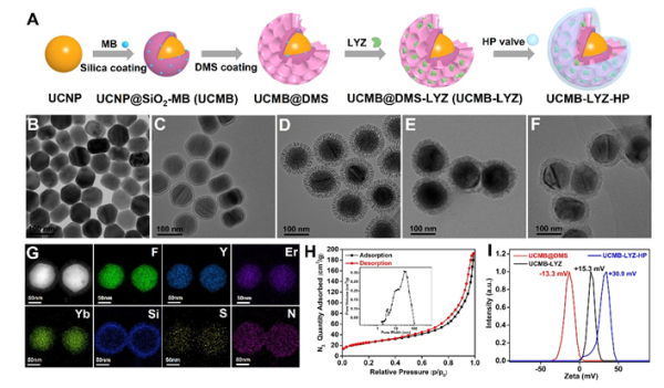 茄子精产国产品入口