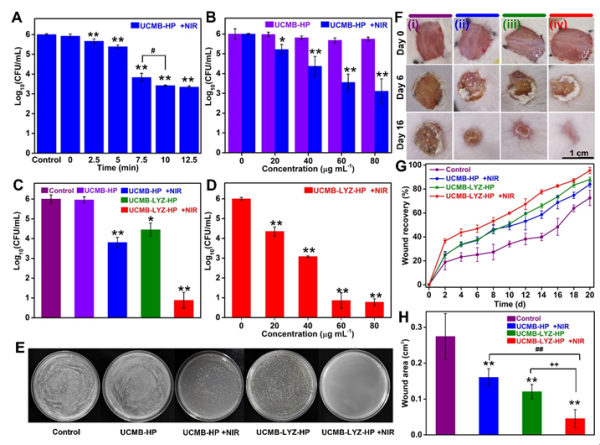 茄子精产国产品入口