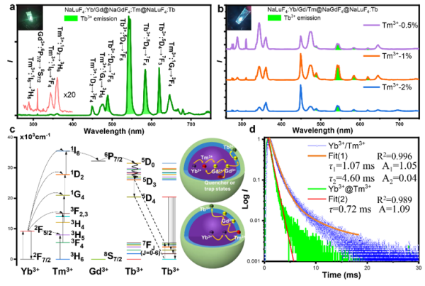 茄子精产国产品入口