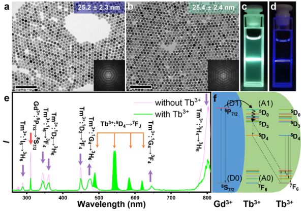 茄子精产国产品入口