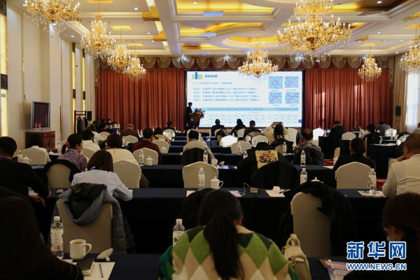 茄子精产国产品入口