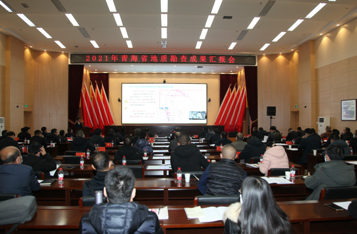 茄子精产国产品入口