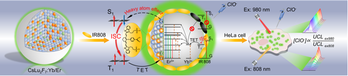 茄子精产国产品入口