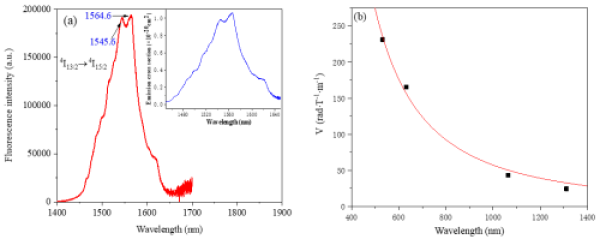 茄子精产国产品入口