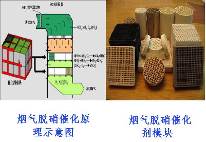 茄子精产国产品入口