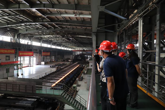 茄子精产国产品入口