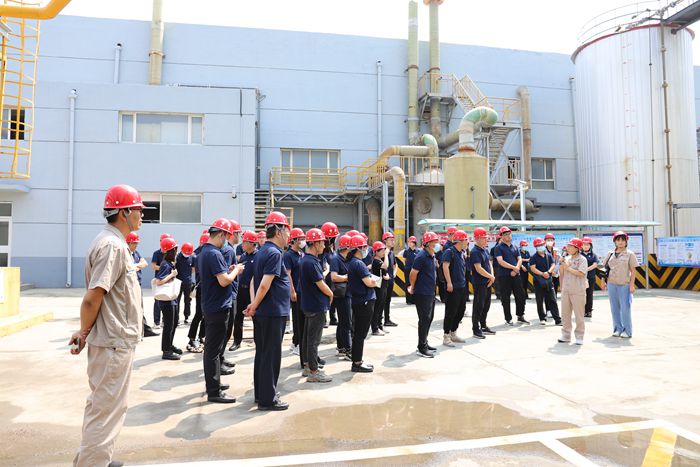 茄子精产国产品入口