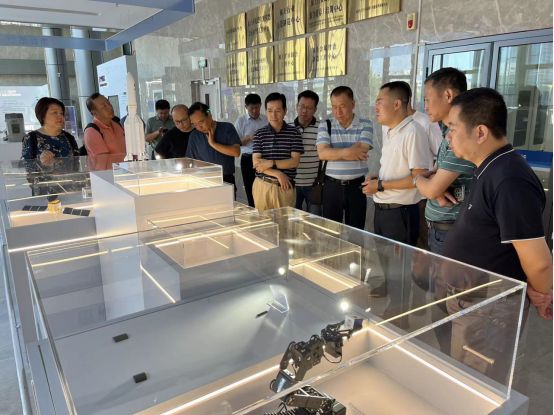 茄子精产国产品入口