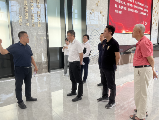 茄子精产国产品入口