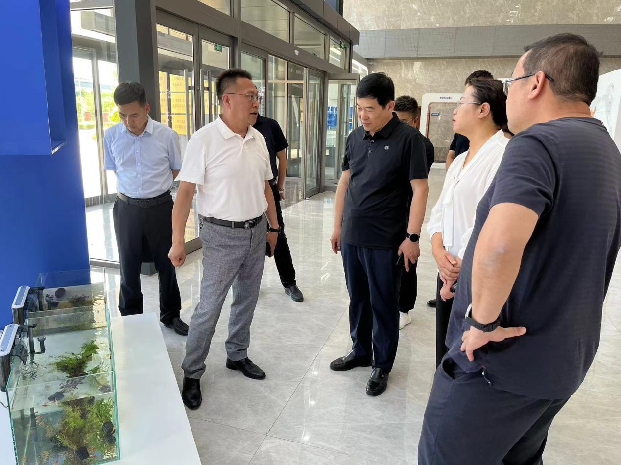 茄子精产国产品入口