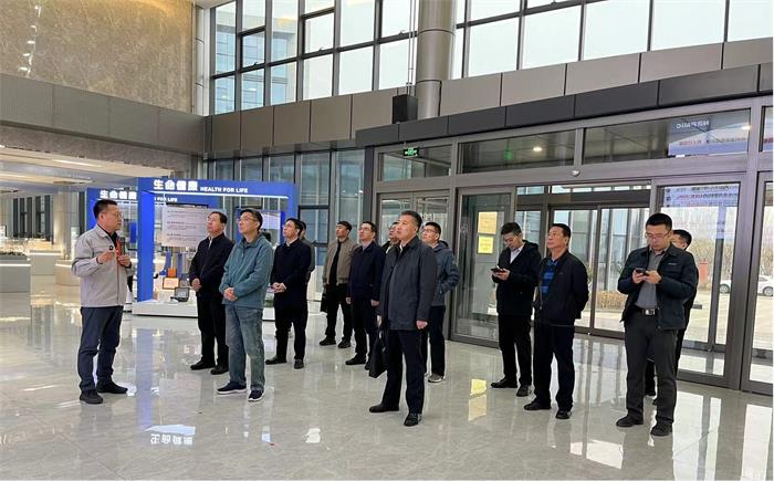 茄子精产国产品入口