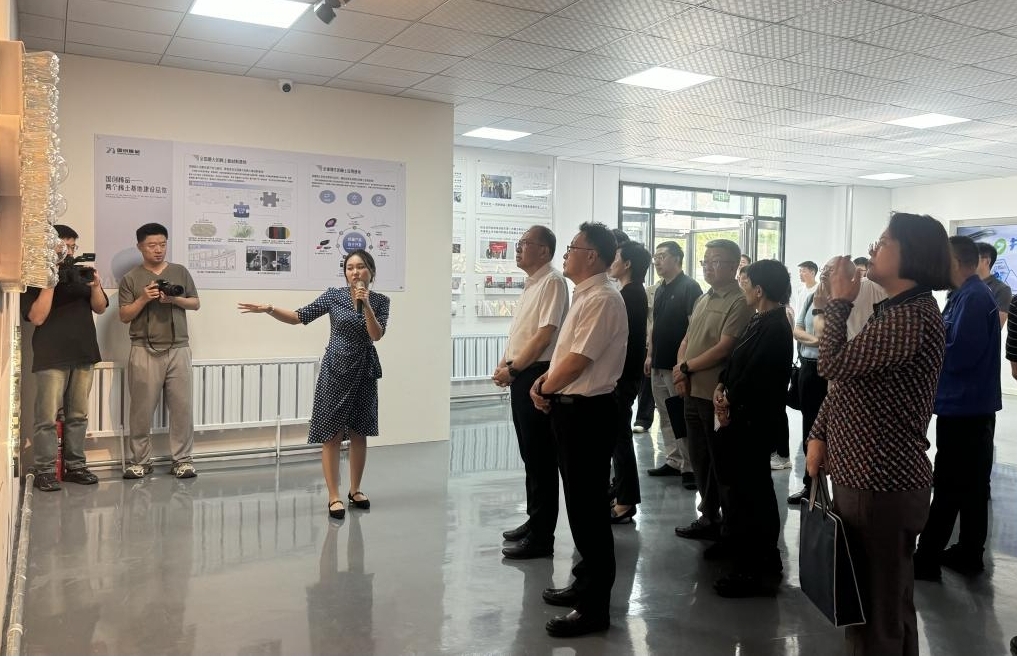 茄子精产国产品入口